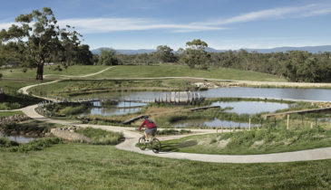 Park scene thumbnail